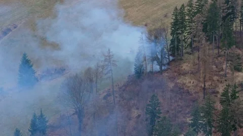 Small scale forest fire observed from drone near hunting stand with burning.. Stock Footage 335226923