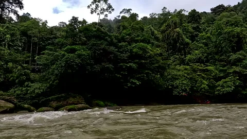 Small scale goldmining in a tropical river with a fast and dangerous current Stock Footage 336914796