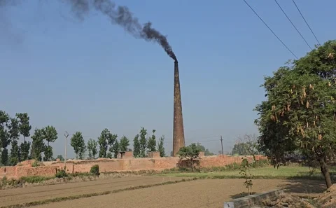 Small-Scale Industry Operating in Indian Village Stock Footage 313560047