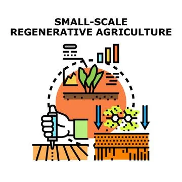 Small scale regenerative agriculture improving soil health model Illustrazione stock