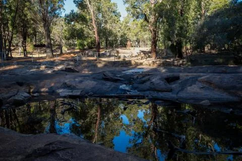 A small scenic pond with trees mirrored in John Forrest National Park Stock Photos