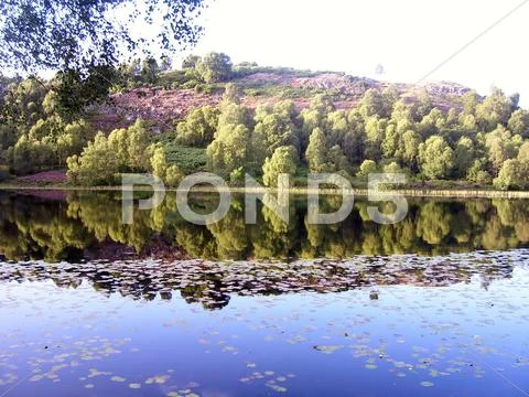 Small Scottish Loch Stock Photos