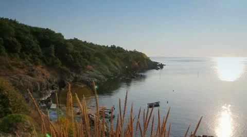 Small sea Cove Stock Footage 11499007