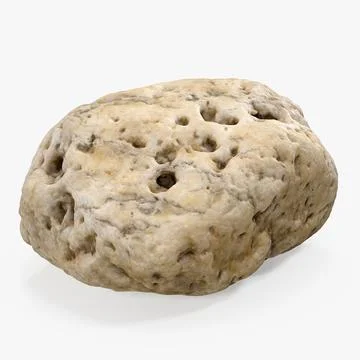 Small Sea Rock with Holes 3D Model