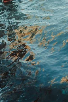 Small sea wave close-up, low viewing angle Foto stock