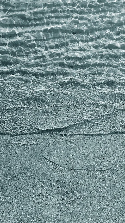 Small sea waves clean transparent water on sandy beach of sea shore Stock Footage 308183226