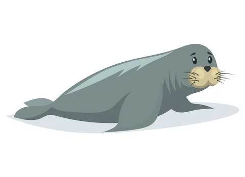 Small seal crawling on belly on ice floe. Wild animal baby sea lion lies on Stock Illustration