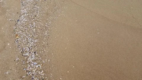 Small seashells and gentle waves washing smooth sandy beach surface Stock Footage 321651131