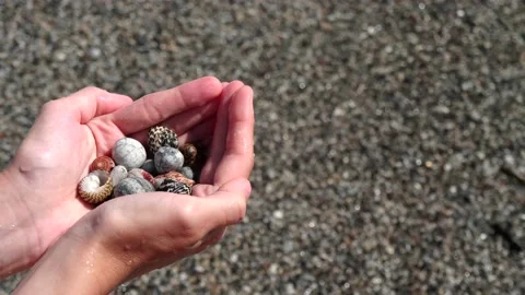 Small seashells lie on female hands against background of sea, water, waves Stock Footage 138749722