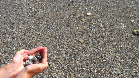 Small seashells lie on female hands against background of sea, water, waves Stock Footage 138749842