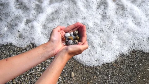 Small seashells lie on female hands against background of sea, water, waves Stock Footage 138755793