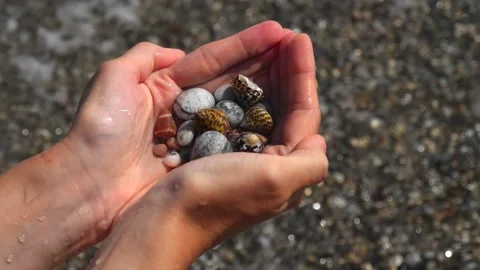 Small seashells lie on female hands against background of sea, water, waves Stock Footage 138756021