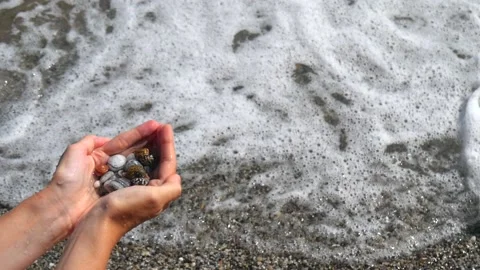 Small seashells lie on female hands against background of sea, water, waves Stock Footage 138756051