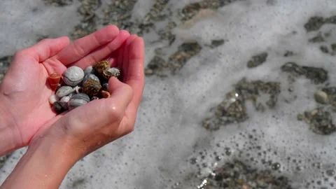 Small seashells lie on female hands against background of sea, water, waves Stock Footage 138756593