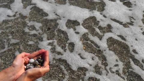 Small seashells lie on female hands against background of sea, water, waves Stock Footage 138756597