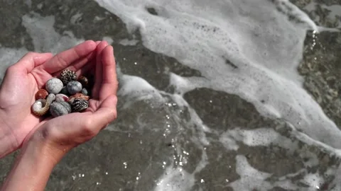 Small seashells lie on female hands against background of sea, water, waves Stock Footage 138756702
