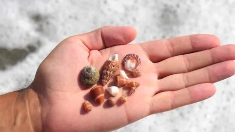 Small seashells lie on a man's hand against background of sea, water, waves Stock Footage 138748655