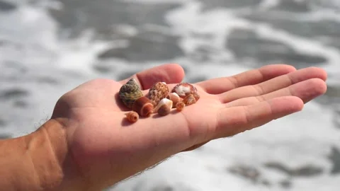Small seashells lie on a man's hand against background of sea, water, waves Stock Footage 138748885