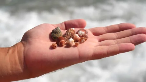 Small seashells lie on a man's hand against background of sea, water, waves Stock Footage 138752111
