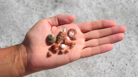 Small seashells lie on a man's hand against background of sea, water, waves Stock Footage 138752432