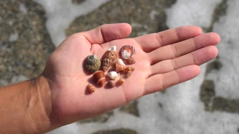 Small seashells lie on a man's hand against background of sea, water, waves Stock Footage 138752756