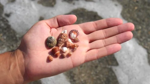 Small seashells lie on a man's hand against background of sea, water, waves Stock Footage 138752757
