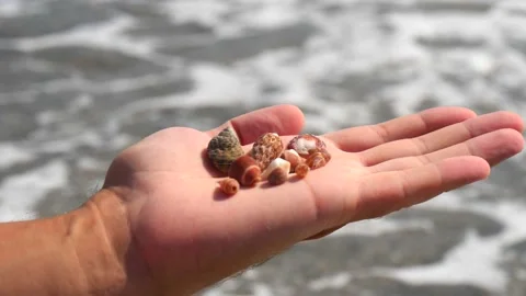 Small seashells lie on a man's hand against background of sea, water, waves Stock Footage 138753019