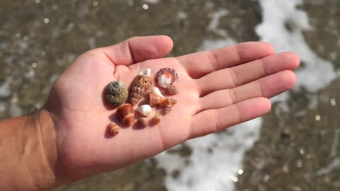 Small seashells lie on a man's hand against background of sea, water, waves Stock Footage 138753037