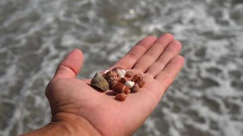 Small seashells lie on a man's hand against background of sea, water, waves Stock Footage 138753147