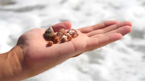 Small seashells lie on a man's hand against background of sea, water, waves Stock Footage 138753333