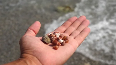 Small seashells lie on a man's hand against background of sea, water, waves Stock Footage 138753791