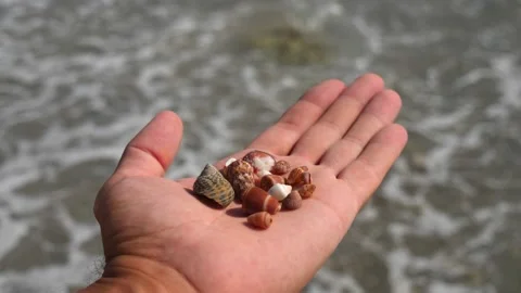 Small seashells lie on a man's hand against background of sea, water, waves Stock Footage 138753806