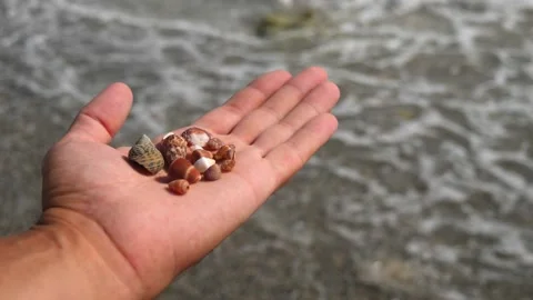 Small seashells lie on a man's hand against background of sea, water, waves Stock Footage 138754090