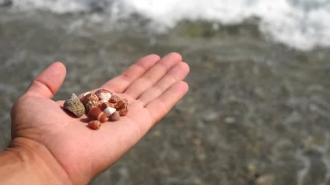 Small seashells lie on a man's hand against background of sea, water, waves Stock Footage 138754144