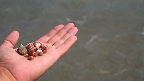 Small seashells lie on a man's hand against background of sea, water, waves Stock Footage 138754385