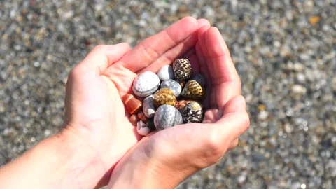 Small seashells lie on man's hands against background of sea, water, waves Stock Footage 138749345