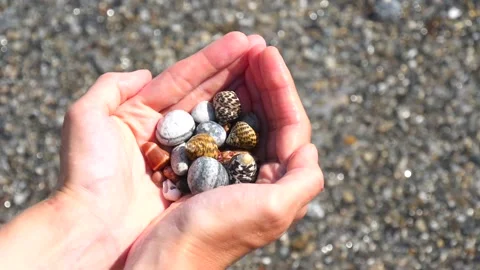 Small seashells lie on man's hands against background of sea, water, waves Stock Footage 138754789
