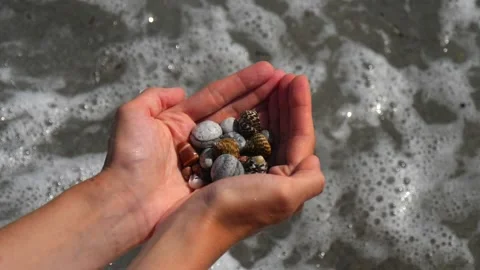 Small seashells lie on man's hands against background of sea, water, waves Stock Footage 138755018