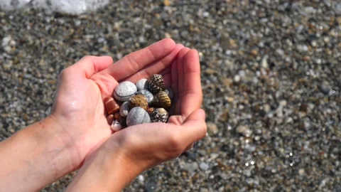 Small seashells lie on man's hands against background of sea, water, waves Stock Footage 138755111