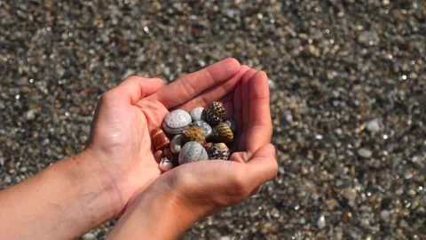 Small seashells lie on man's hands against background of sea, water, waves Stock Footage 138755261