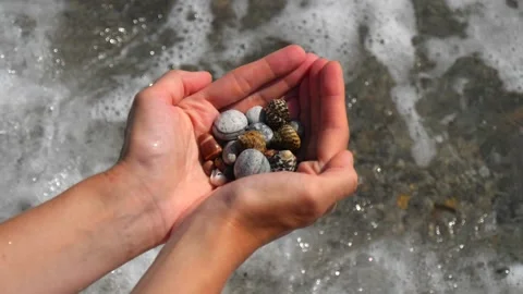 Small seashells lie on man's hands against background of sea, water, waves Stock Footage 138755386
