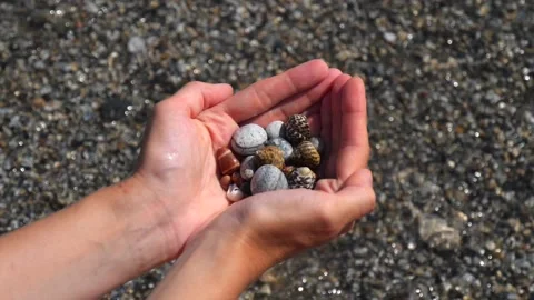 Small seashells lie on man's hands against background of sea, water, waves Stock Footage 138755487