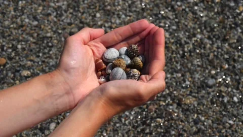Small seashells lie on man's hands against background of sea, water, waves Stock Footage 138755672