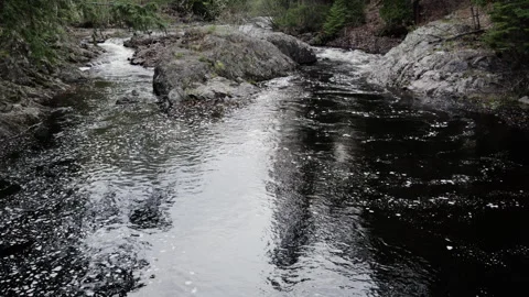 A small section of rapids on a stream in North America, 4k Slow-mo drone shot Stock Footage 243542092