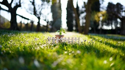 Small seedling growing in brick pottery inside black soil. New life beginning Stock Footage 110701028