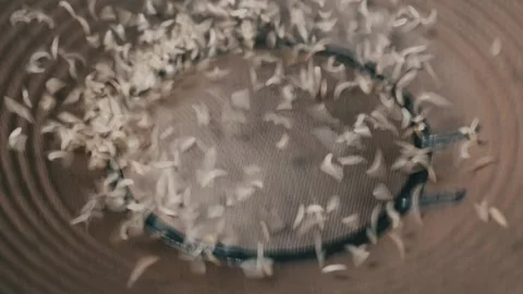Small Seeds Bouncing on Subwoofer Speaker Surface During Audio Vibration Stock Footage 334735416