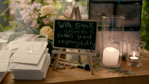 With small seeds comes great responsibility. Write with chalk on the board Stock Footage 221486674