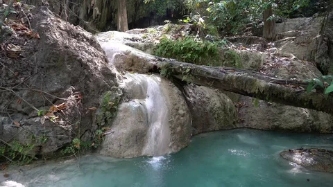 A Small Serene Waterfall Connected to a Fallen Tree in the Jungle. Stock Footage 74291088