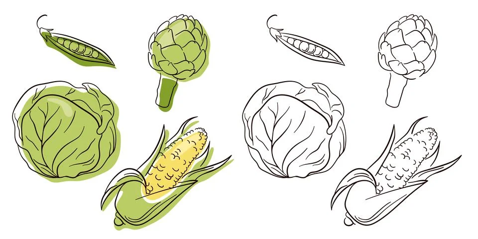 Small set with hand drawn line art vegetables. Sketch style. Flat icons peas Stock Illustration