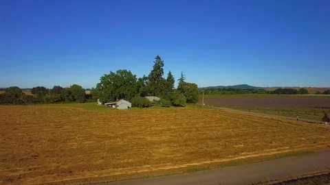 Small settlement between the fields Stock Footage 87809632